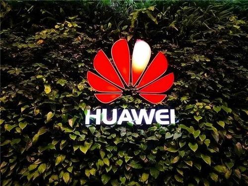 华为公司吃瓜,揭秘科技巨头背后的“吃瓜”故事
