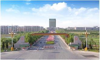 吃瓜滨州职业学院,揭秘“吃瓜”背后的校园生活与文化现象