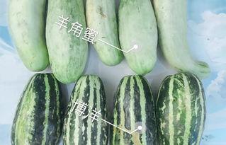 黑网网红吃瓜,揭秘娱乐圈背后的秘密与八卦