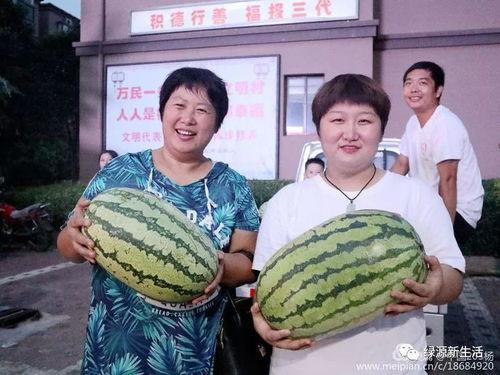 复古吃瓜照片