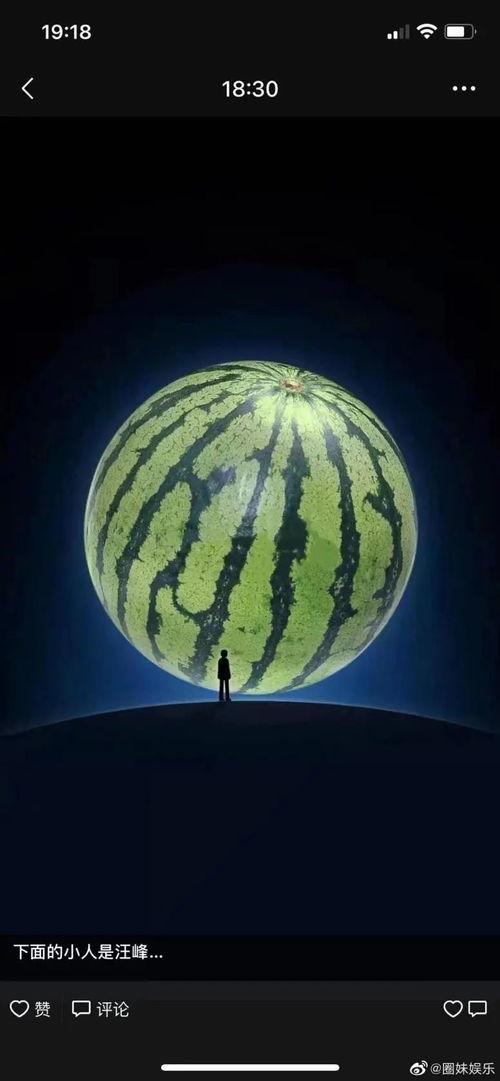 少歌吃瓜,揭秘娱乐圈那些不为人知的幕后故事