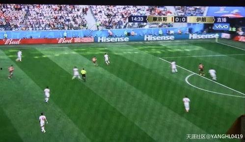 韩国足球吃瓜群众,吃瓜群众视角下的热点事件盘点
