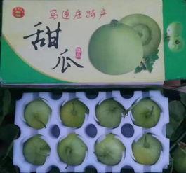 吃羊角瓜之后尿频,揭秘神奇瓜果的奇妙效应
